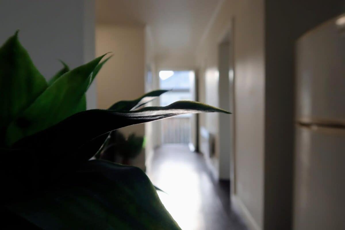 Hobart City Oasis with 3 beds