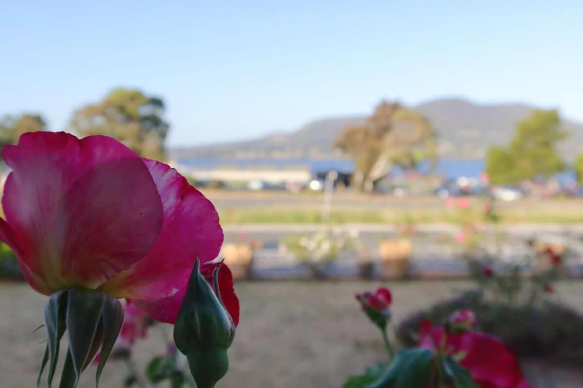Rose Retreat with Water Front view at Montrose