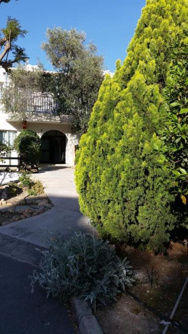 Paphos Gardens 206