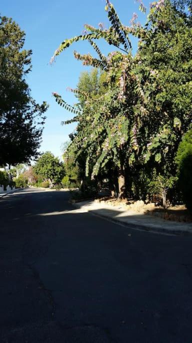 Paphos Gardens 206