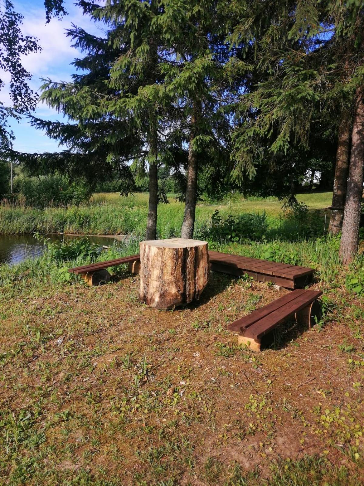 Photo 12
