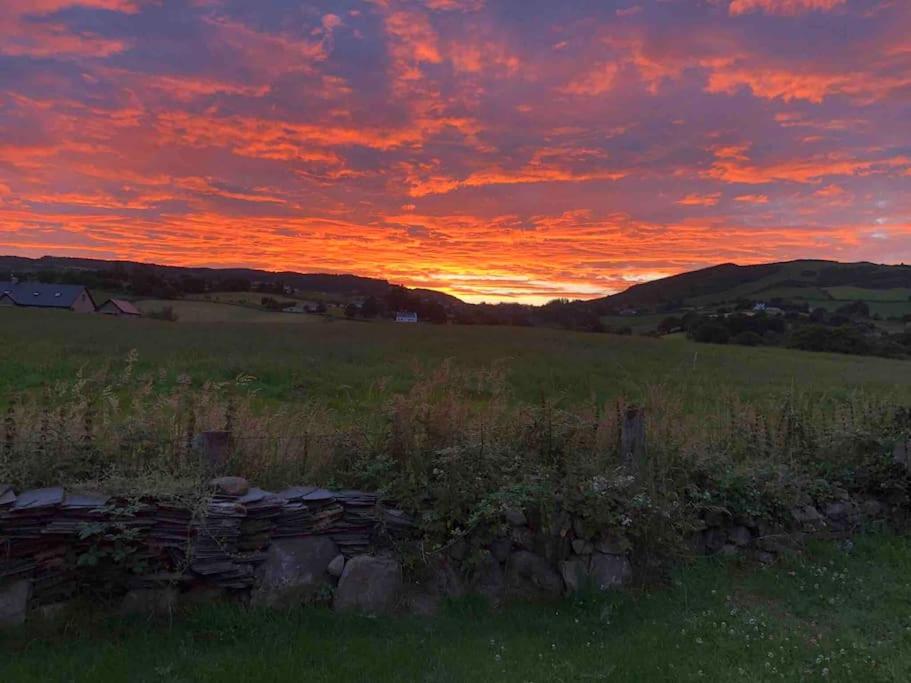 Deerpark Holiday Cottage (1) view 4