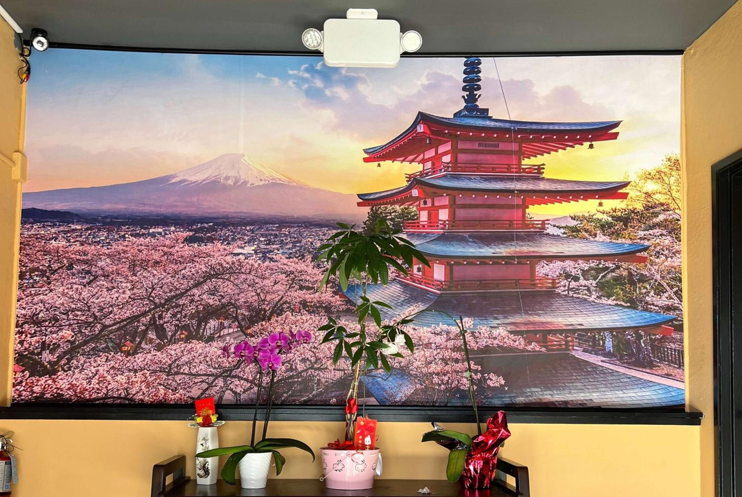 La Quinta by Wyndham San Francisco Airport West - Property Image 20