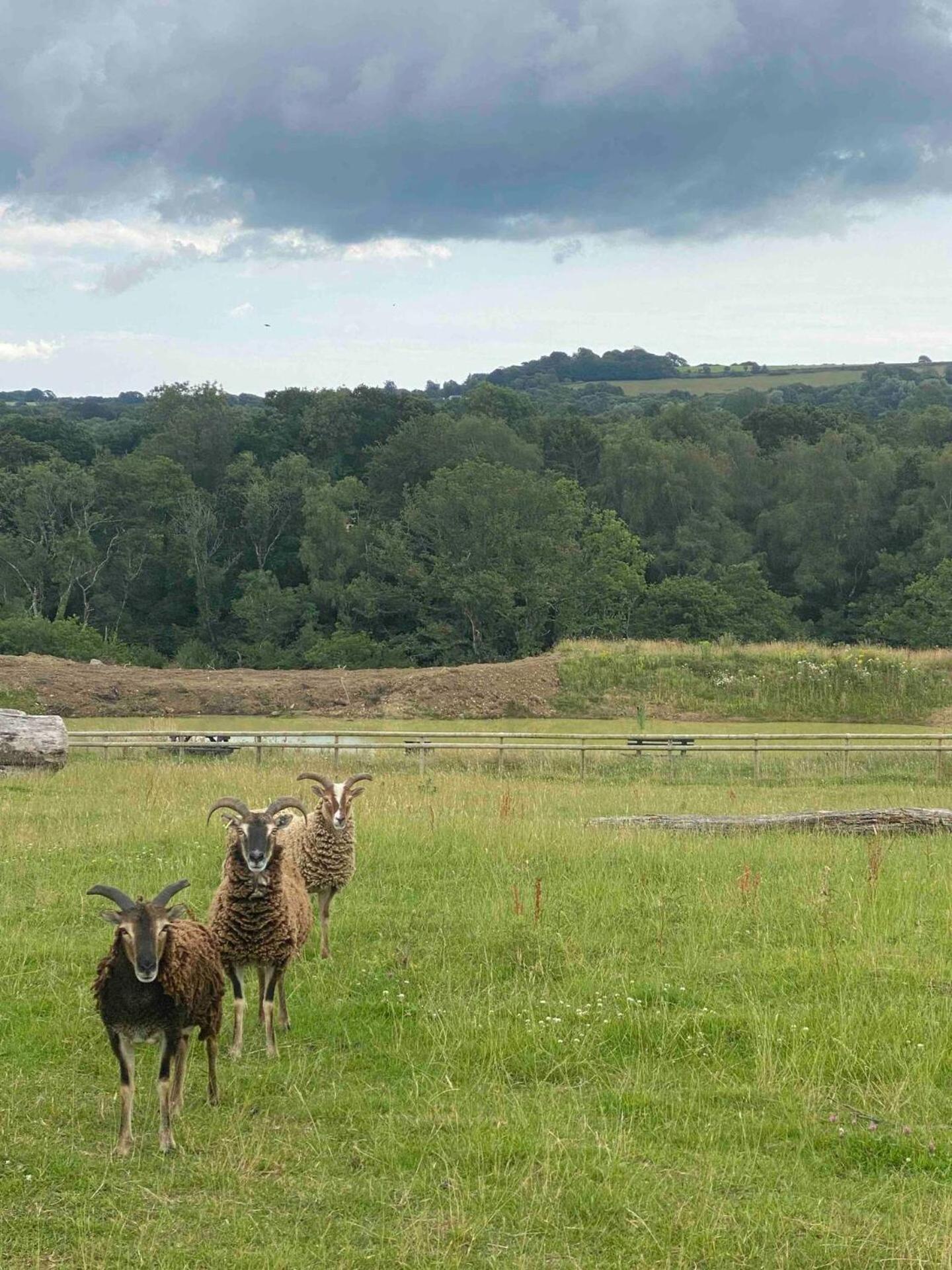 Yeovil Vacations - Swallowfield Glamping-Station Master - Property Image 7