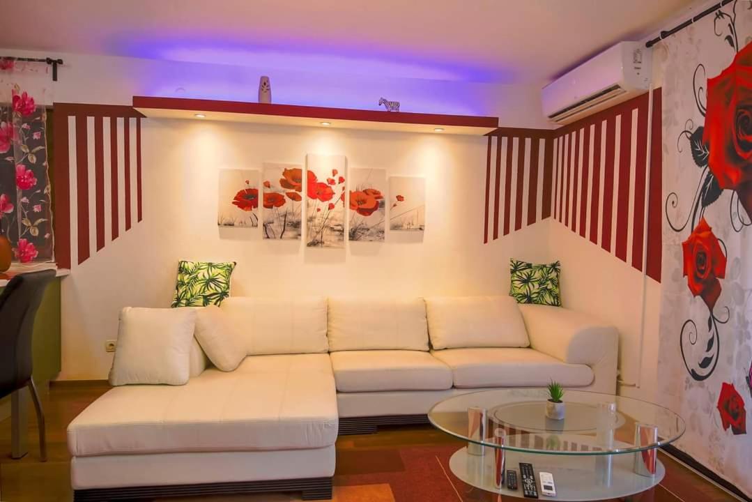 Two apartments near the sea view 4
