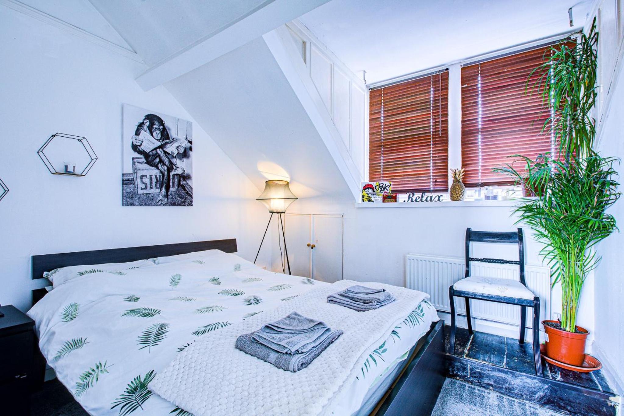 Entire artistic open-apartment