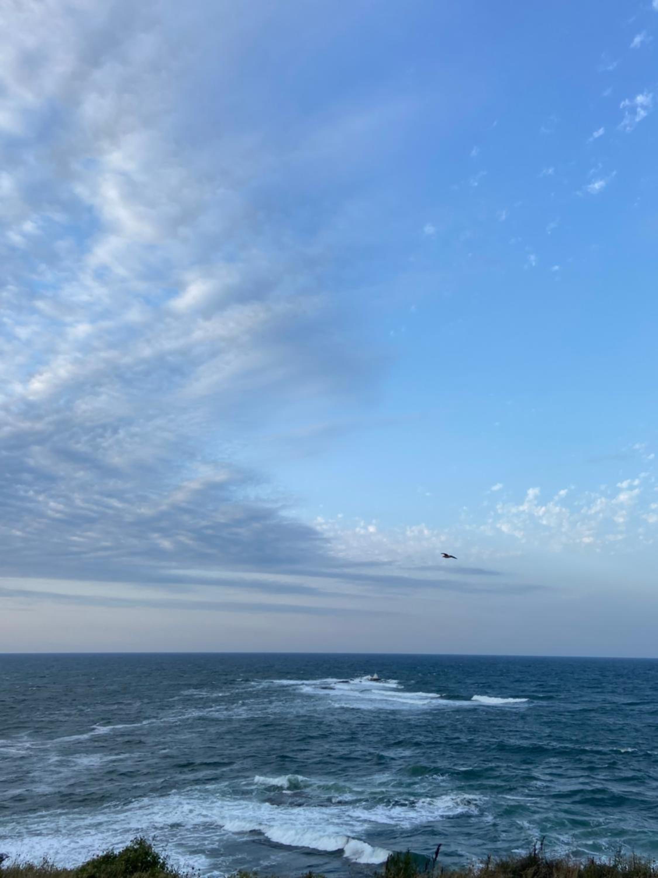 Порт Лозенец Морска Гледка - Port Lozenets Sea View