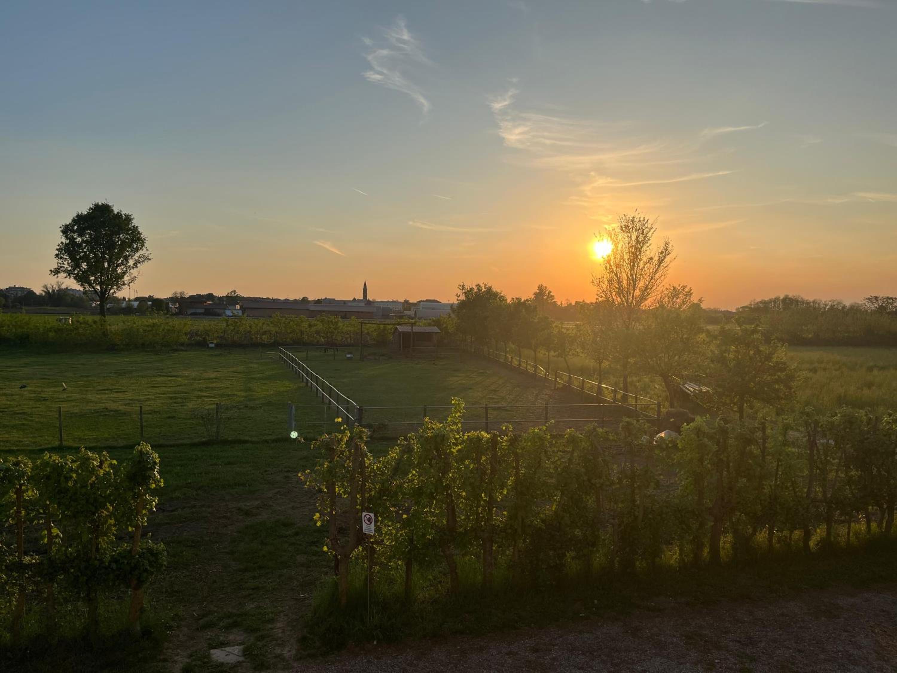 Agriturismo Al Botteniga view 5