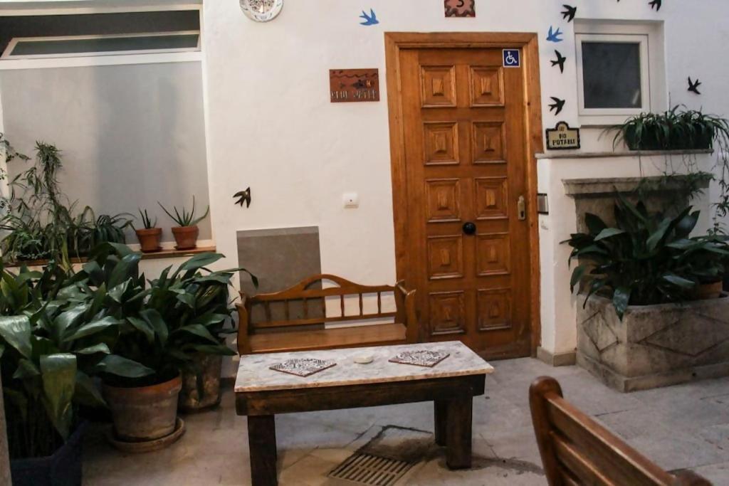 Golondrinas de la Alhambra