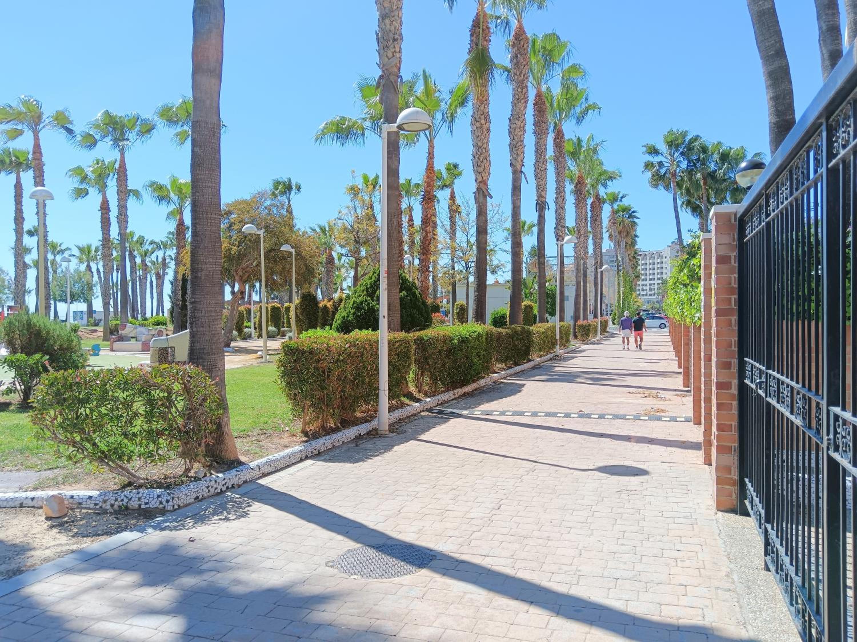 Ayf neptuno en magic world