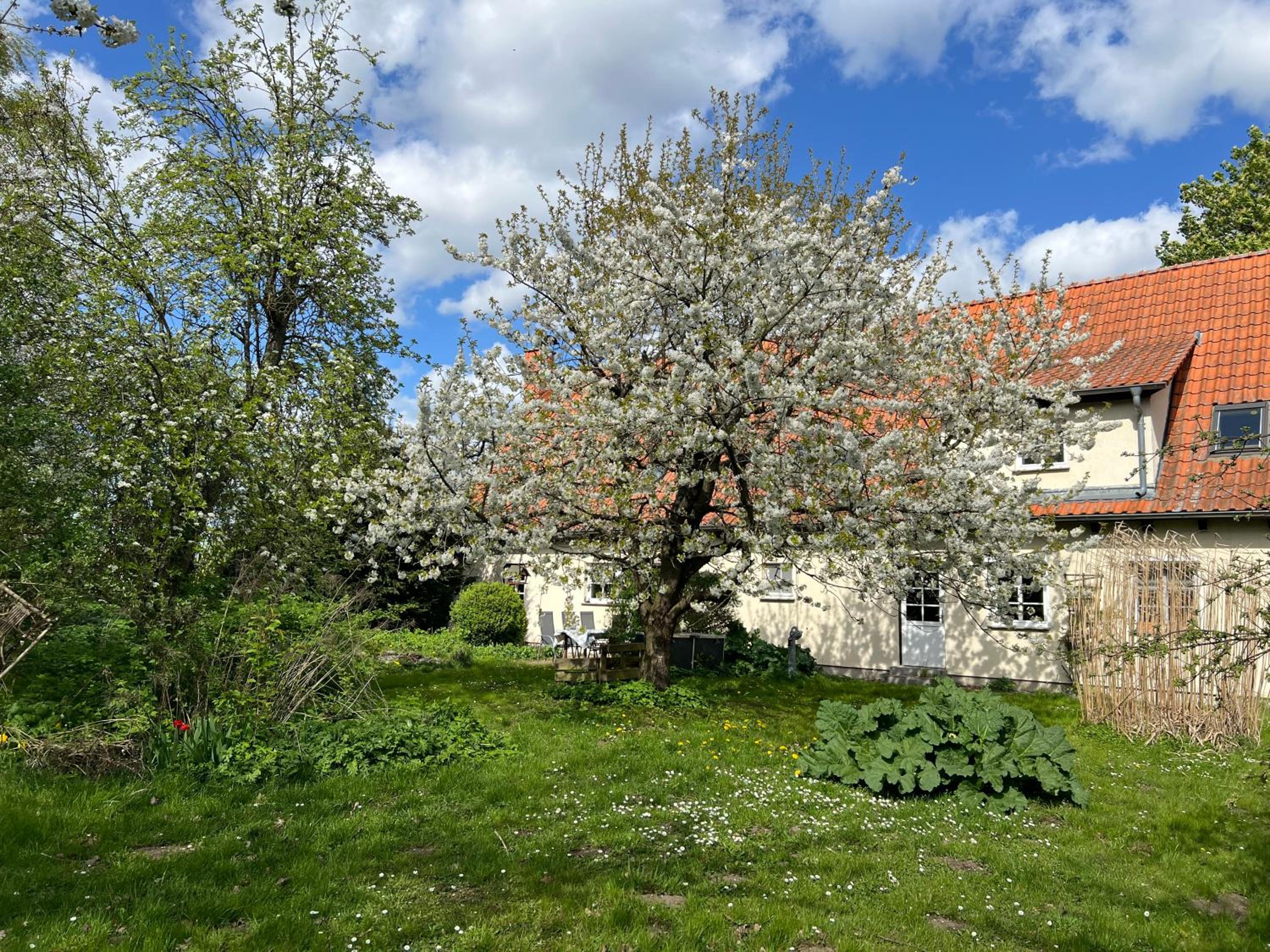 Ferienwohnung Segeln und Angeln