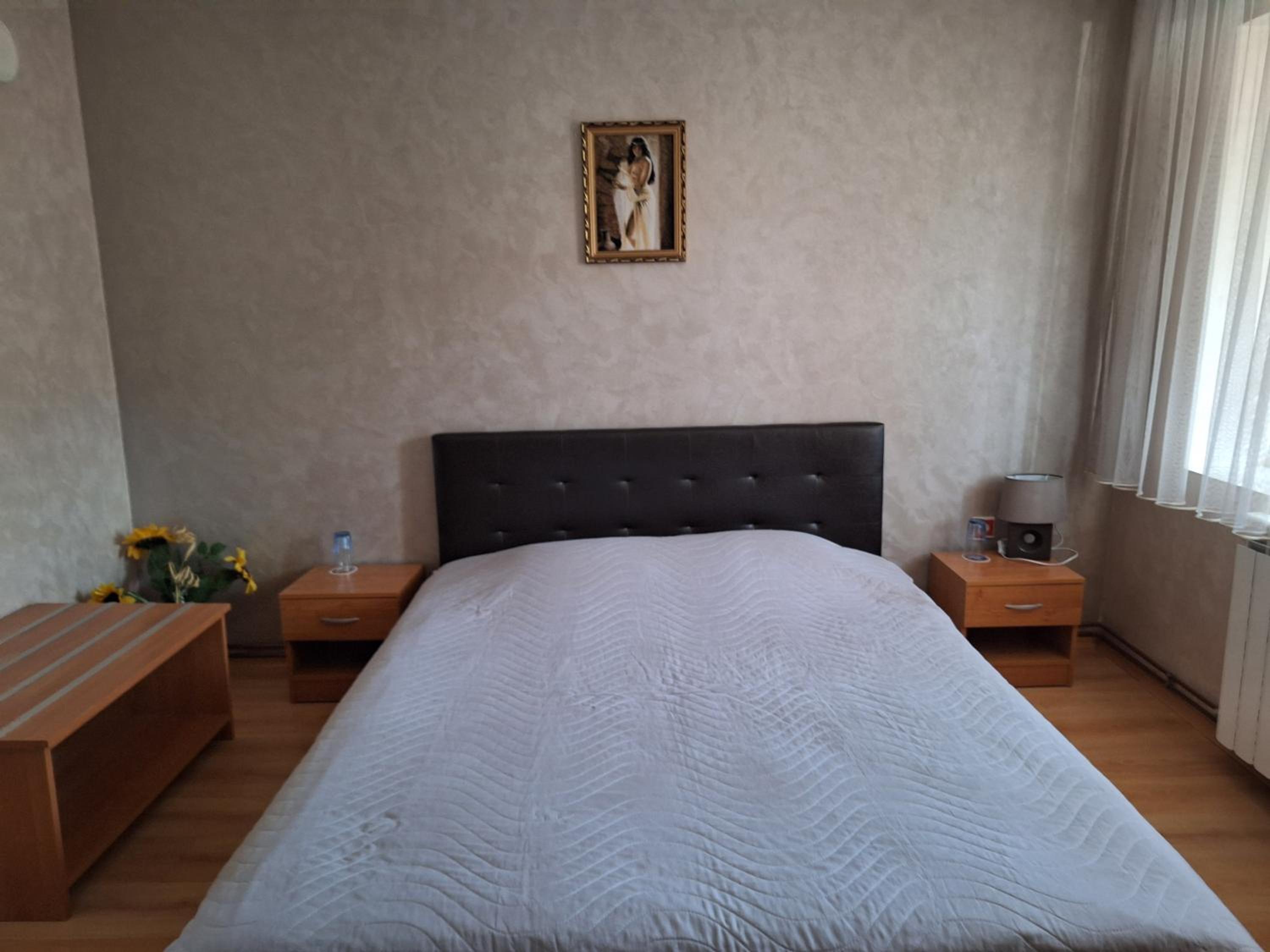 Vasilevi House