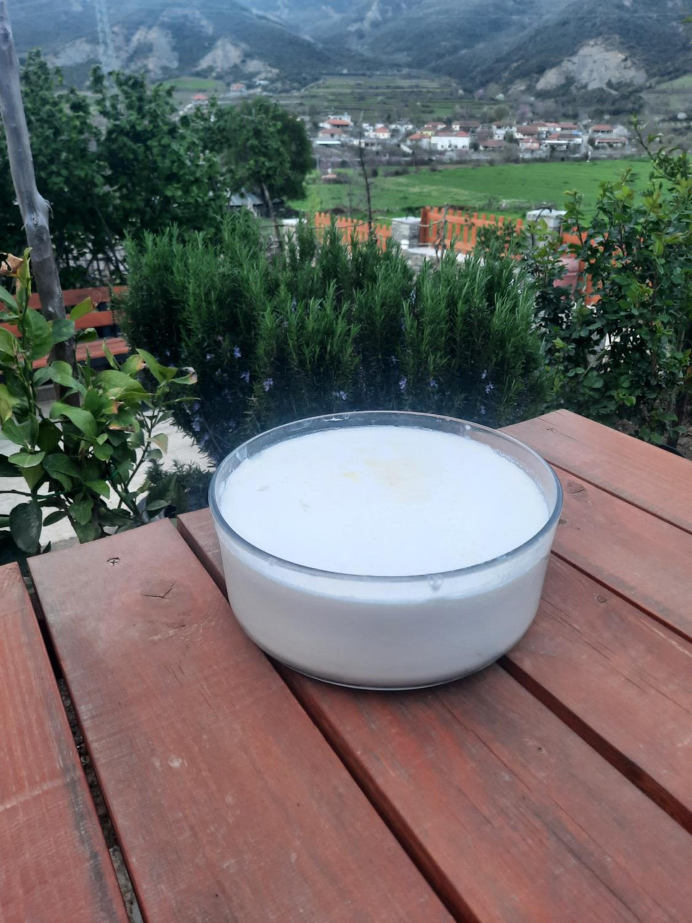 Bujtina Lugina e vjosës