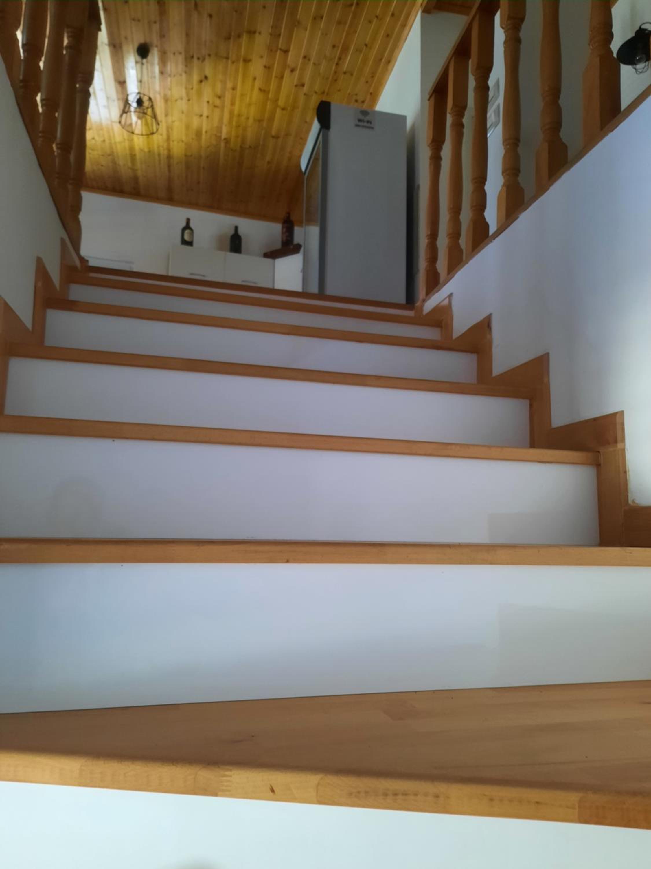 Bujtina Lugina e vjosës