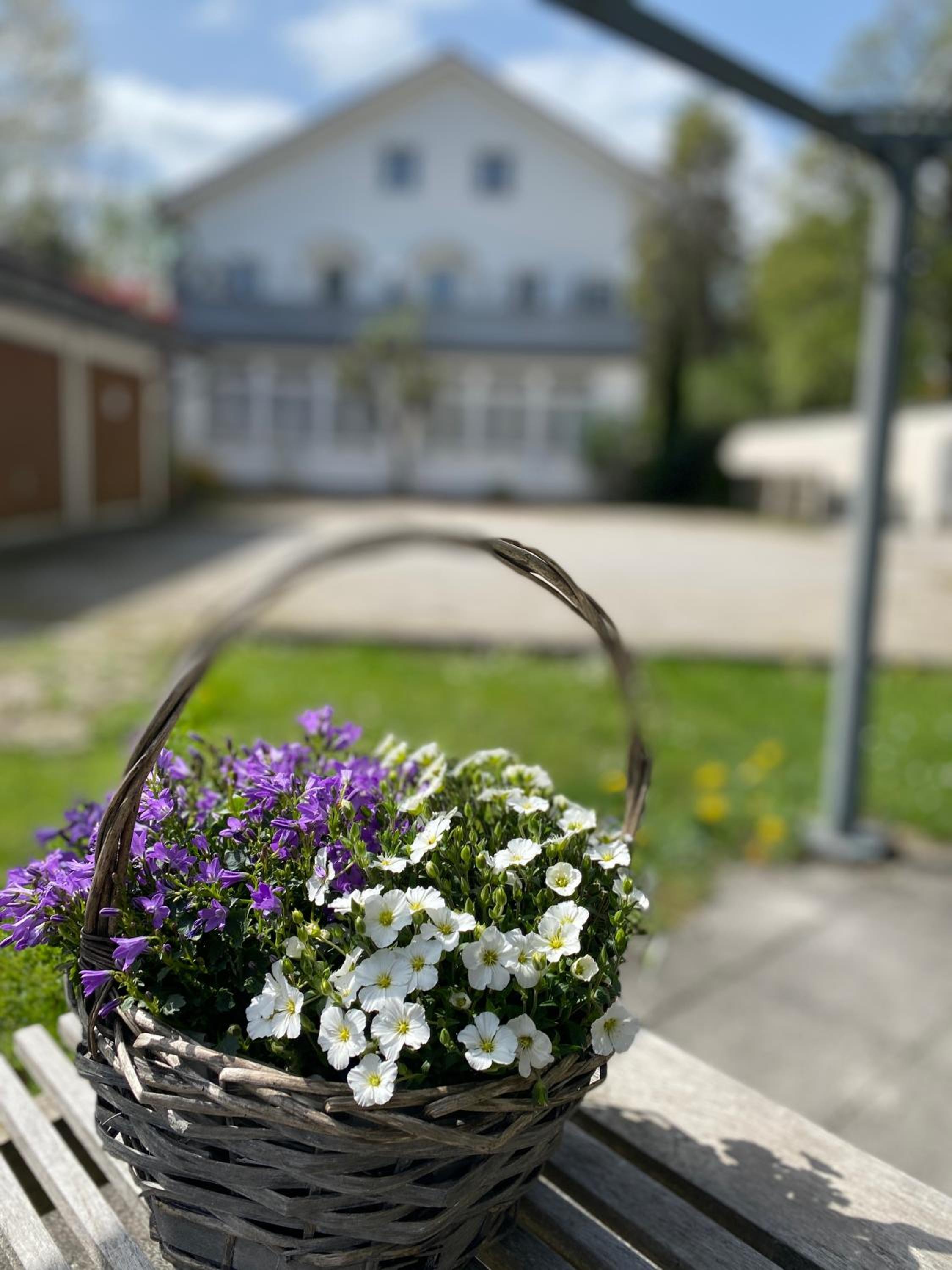 Ferienwohnung Am Franziskanergarten