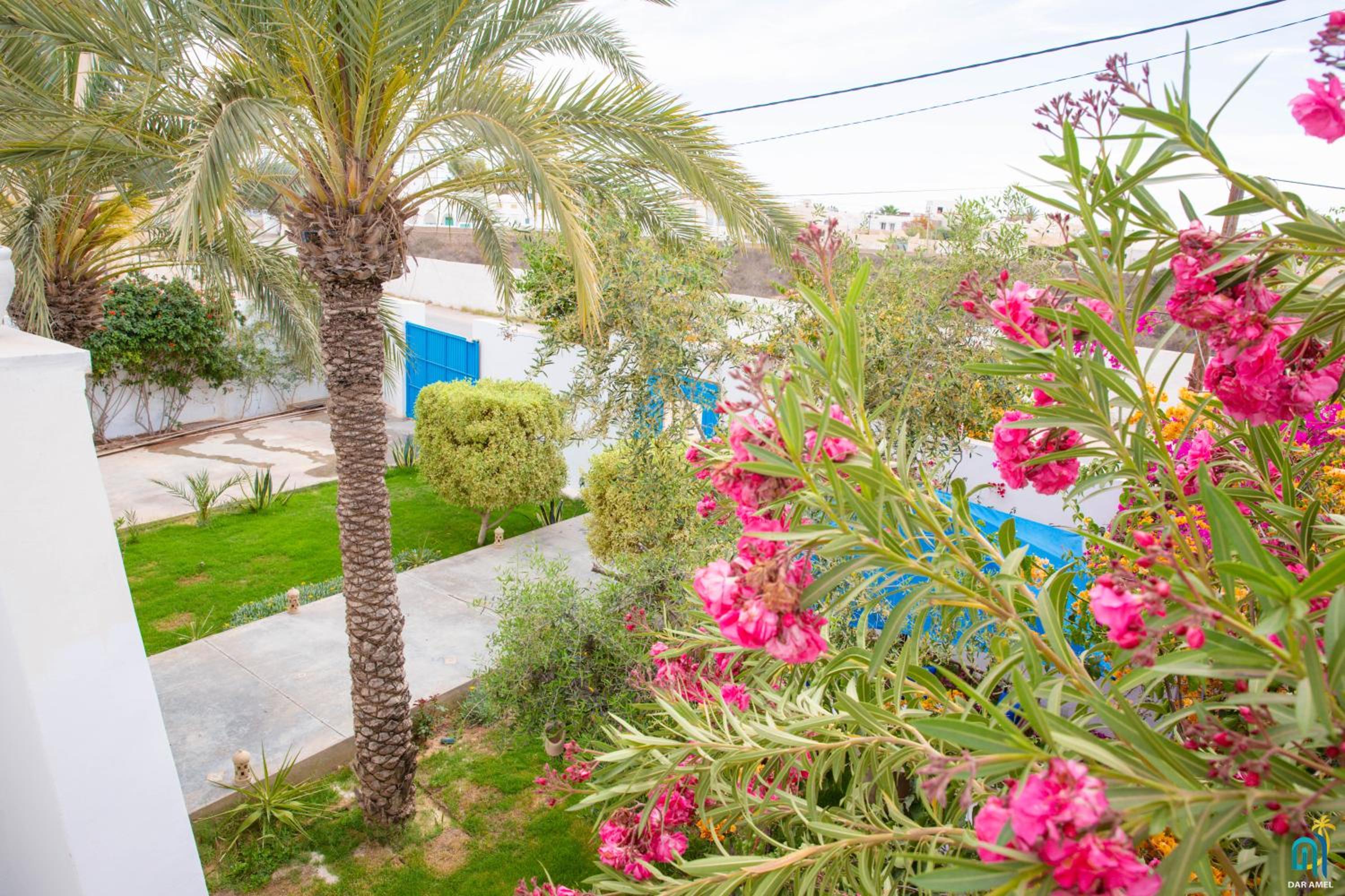 DAR AMEL, photo 25