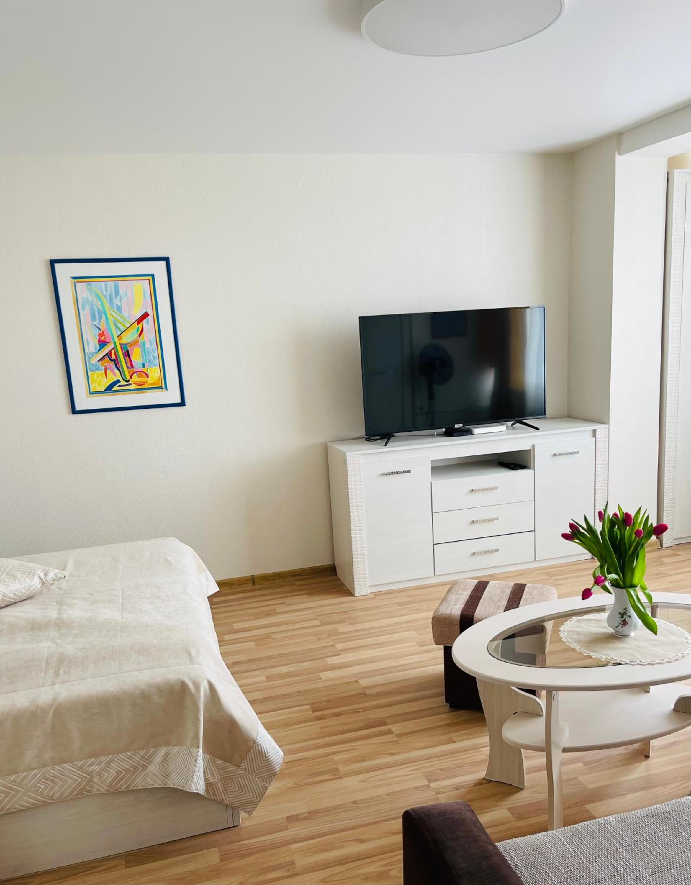 Janonio apartamentai view 2