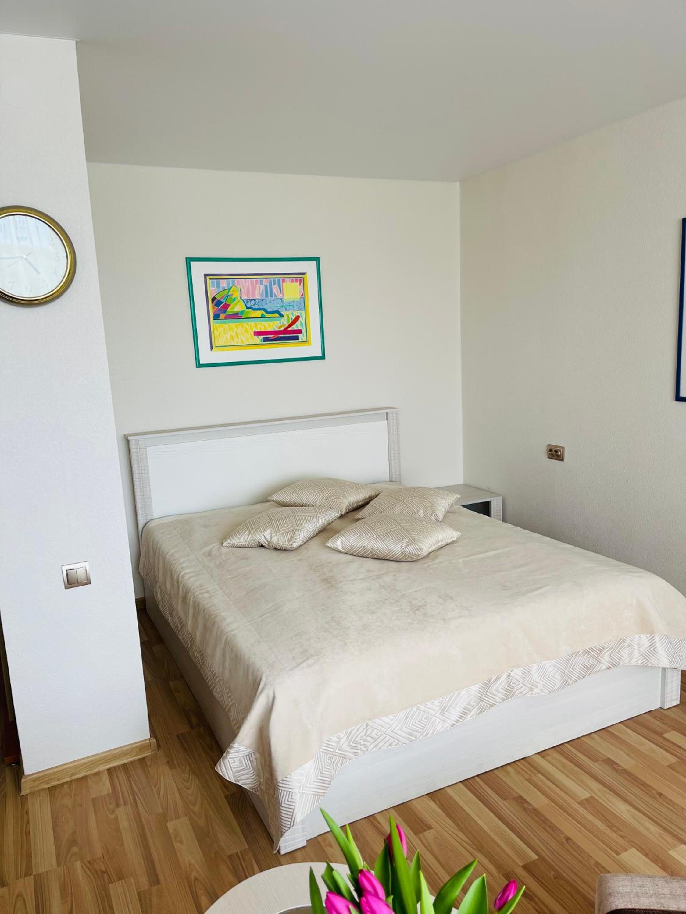 Janonio apartamentai view 3