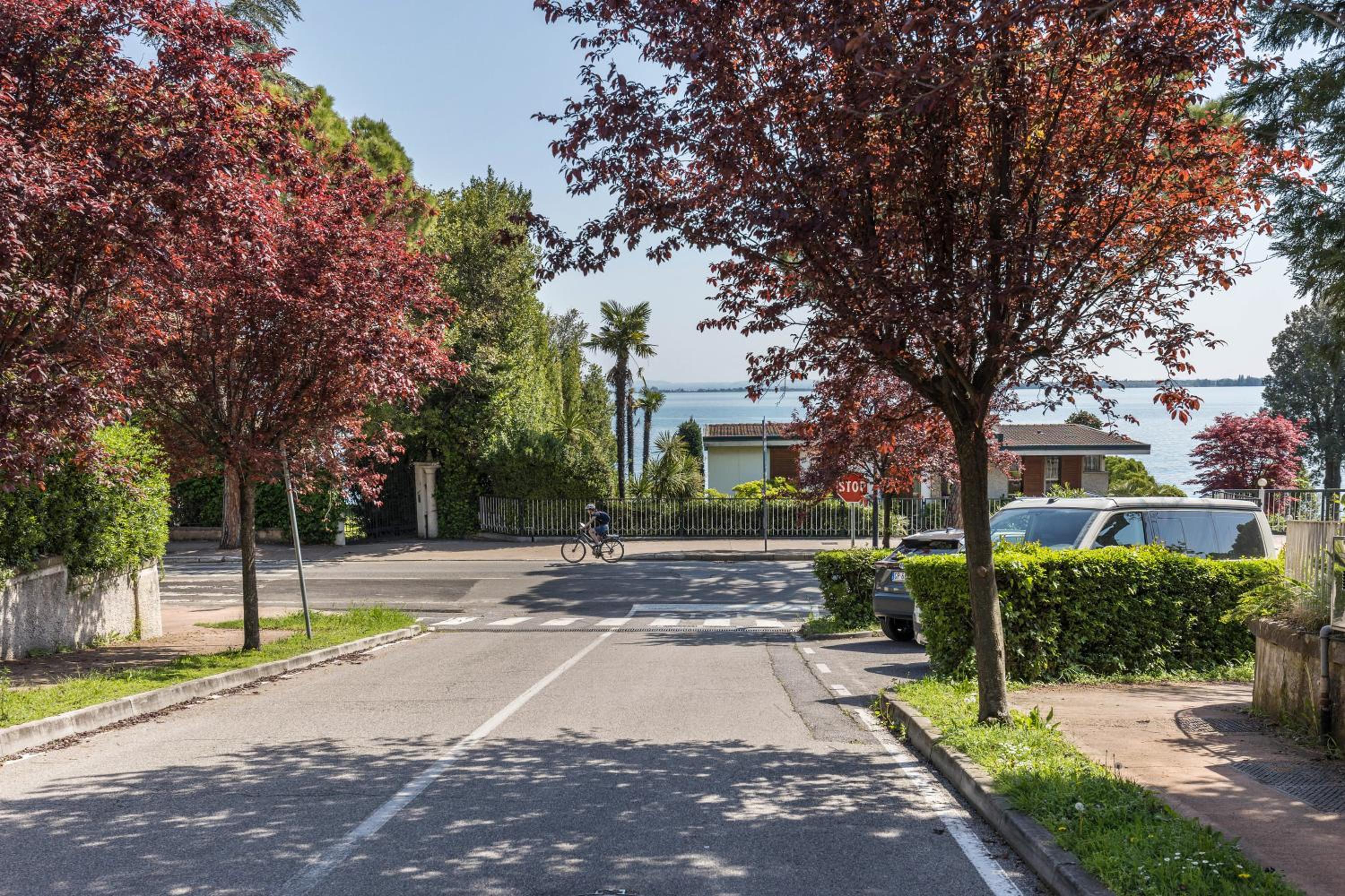 Lake Apartment Desenzano view 2
