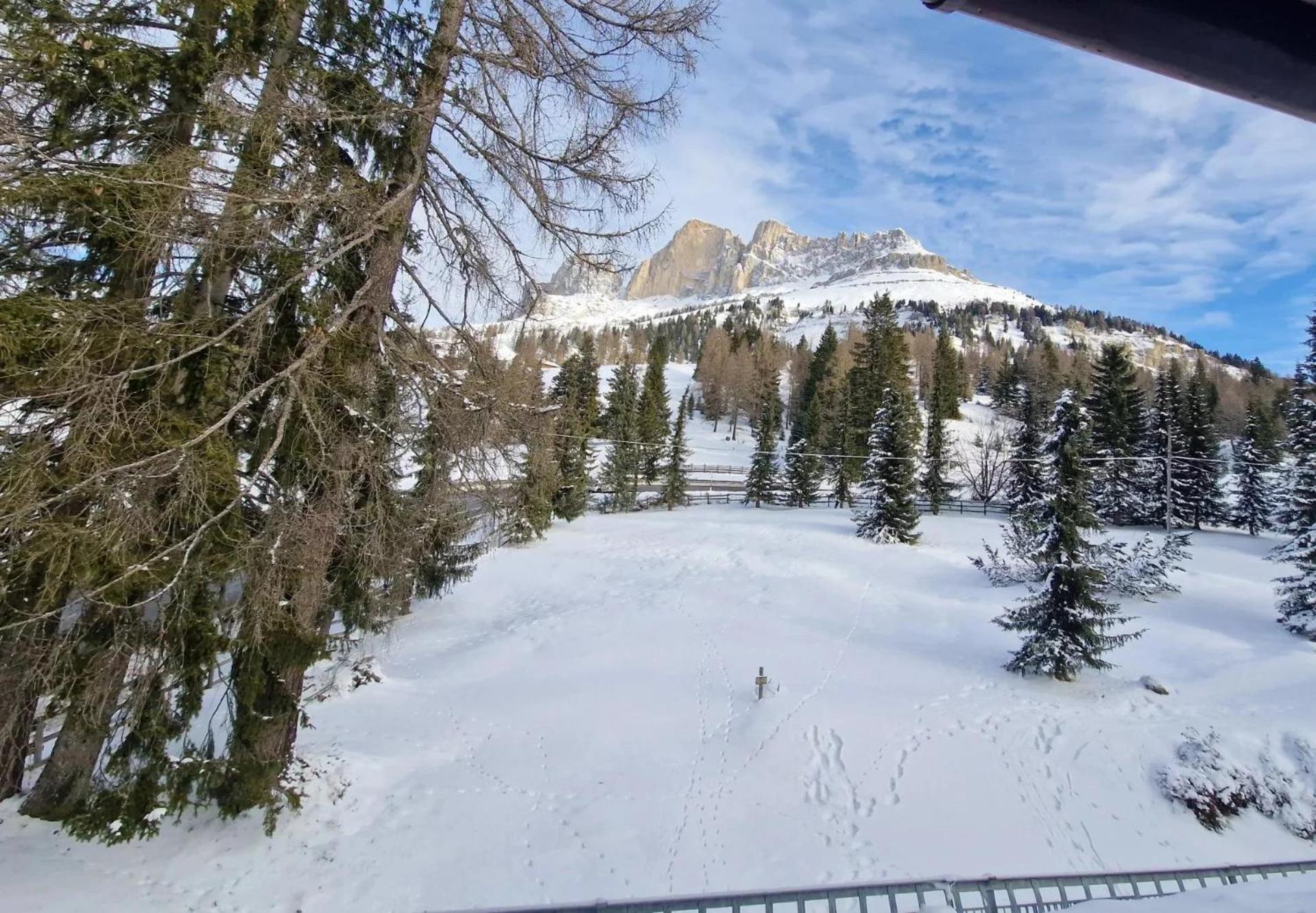 Splendida Carezza