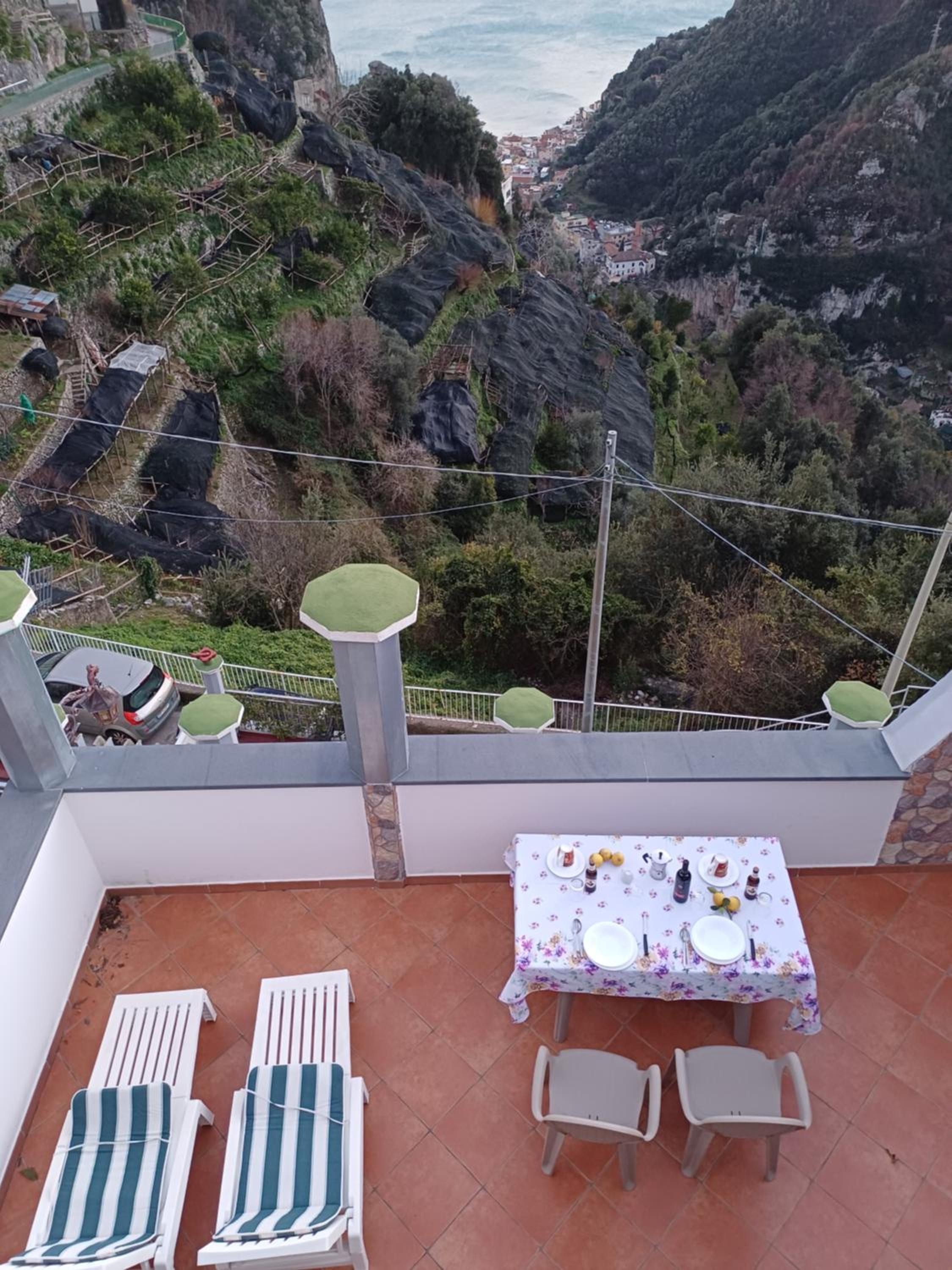 Pippo's Place
