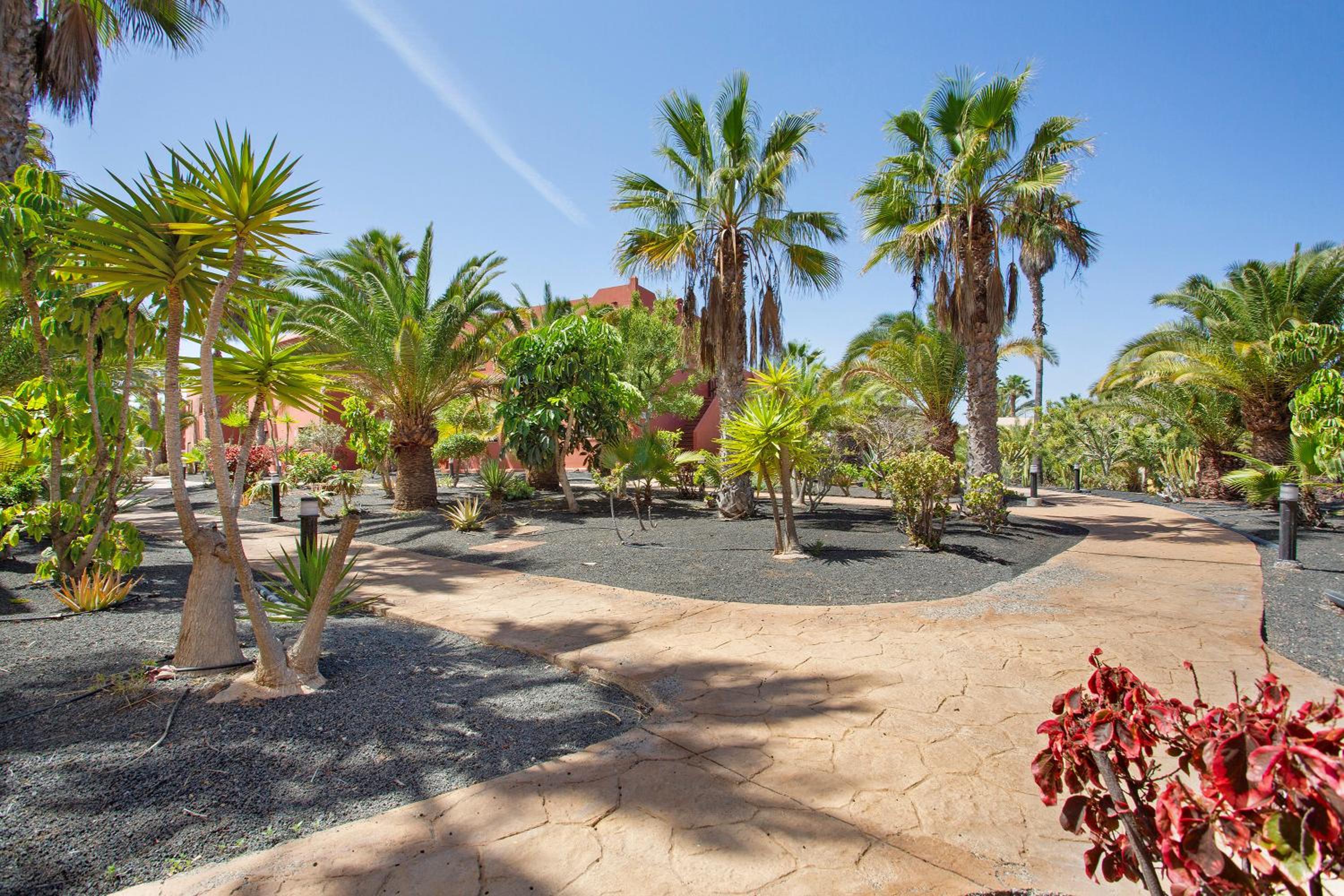 Oasis Tamarindo