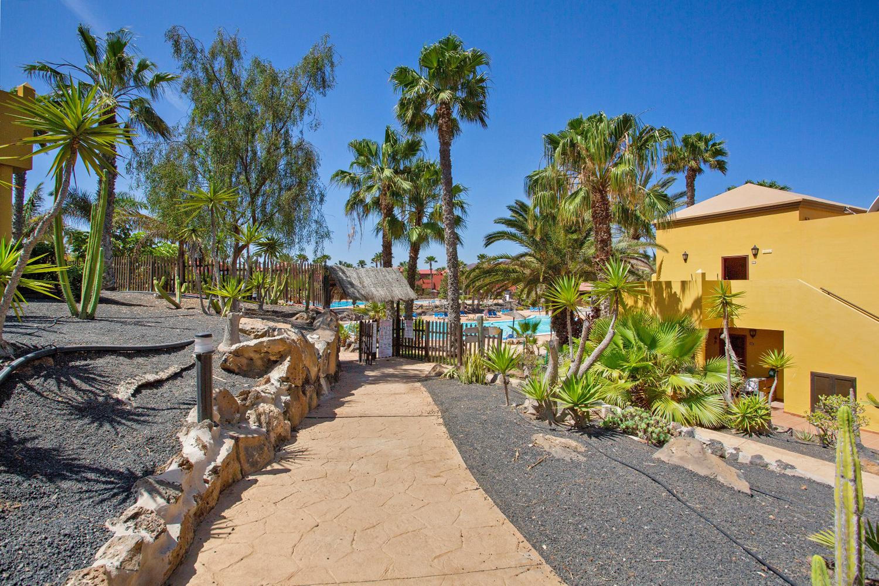 Oasis Tamarindo
