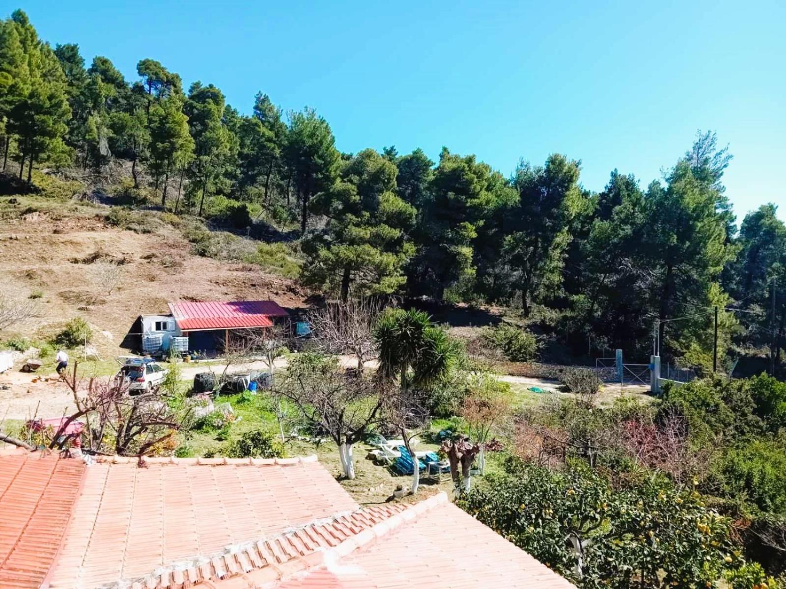 Villa Milia on the sea view 2