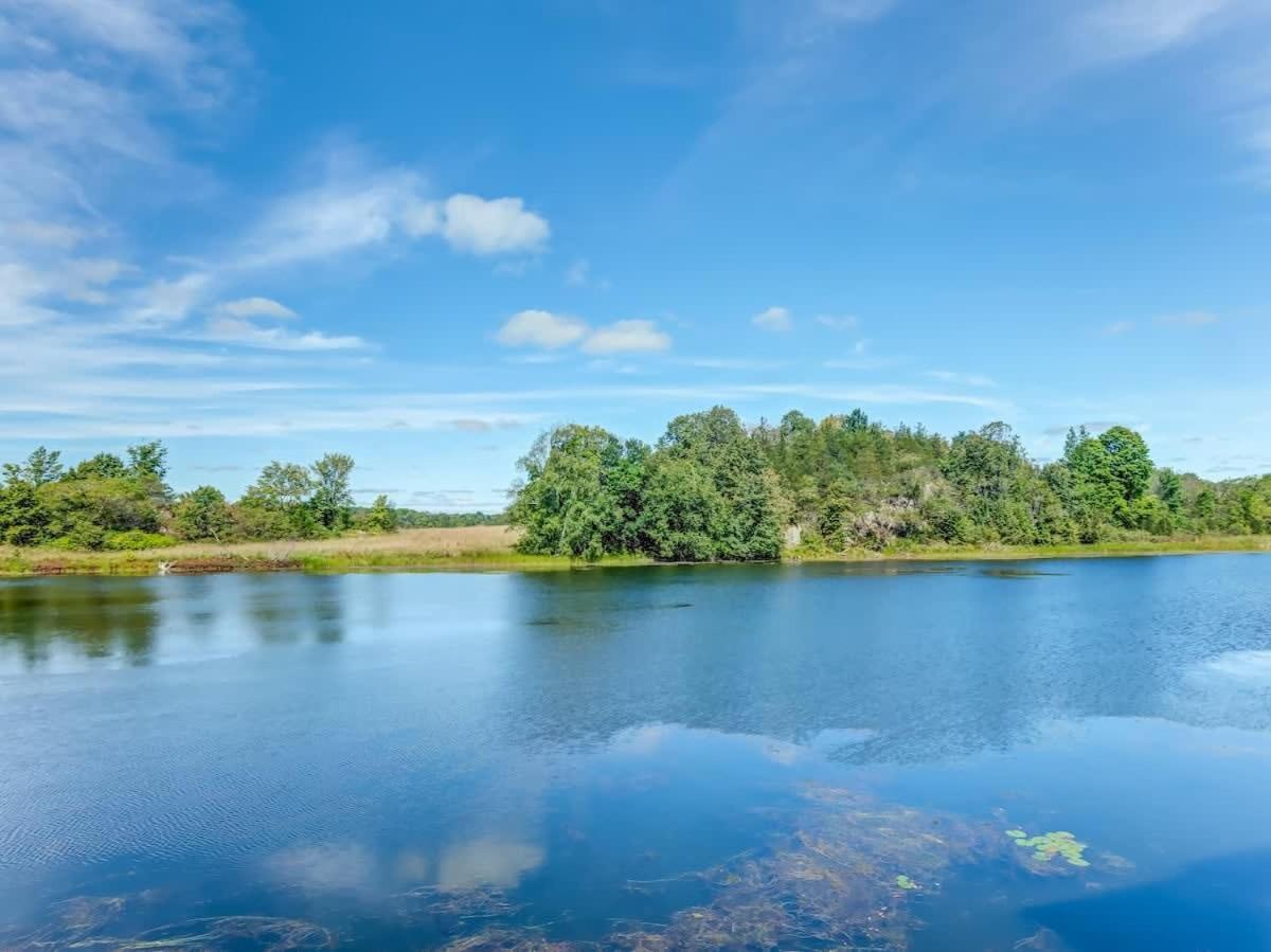 Private waterfront cottage - hot tub & kayaks