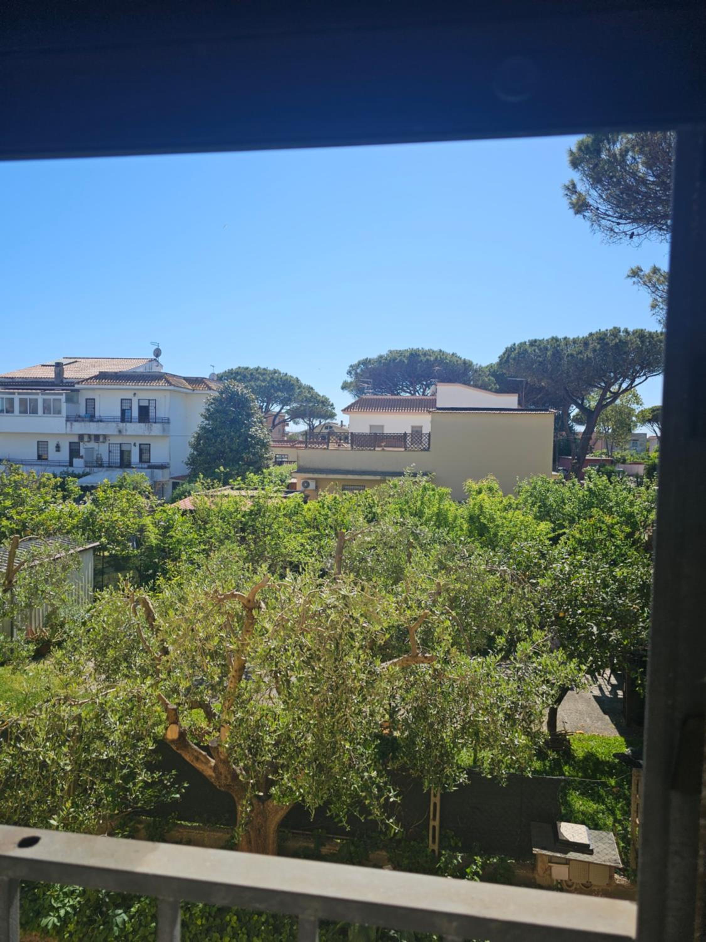 Claudio's Home Airport view 2