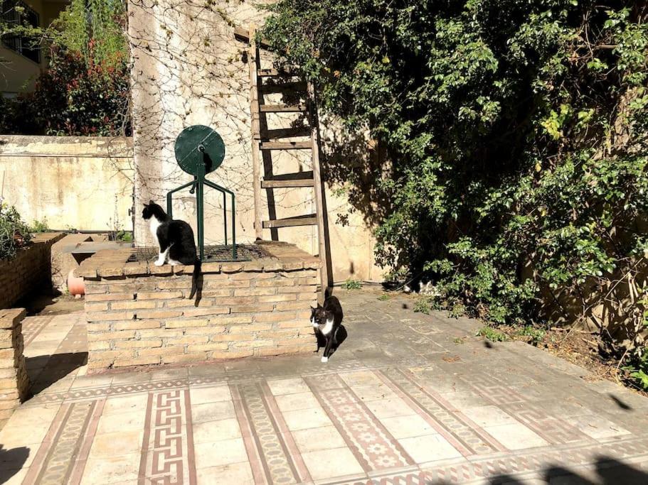 Orpheus Guesthouse