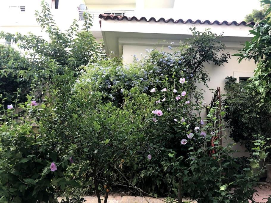 Orpheus Guesthouse