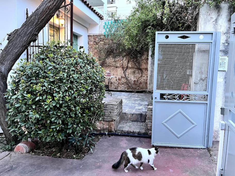 Orpheus Guesthouse