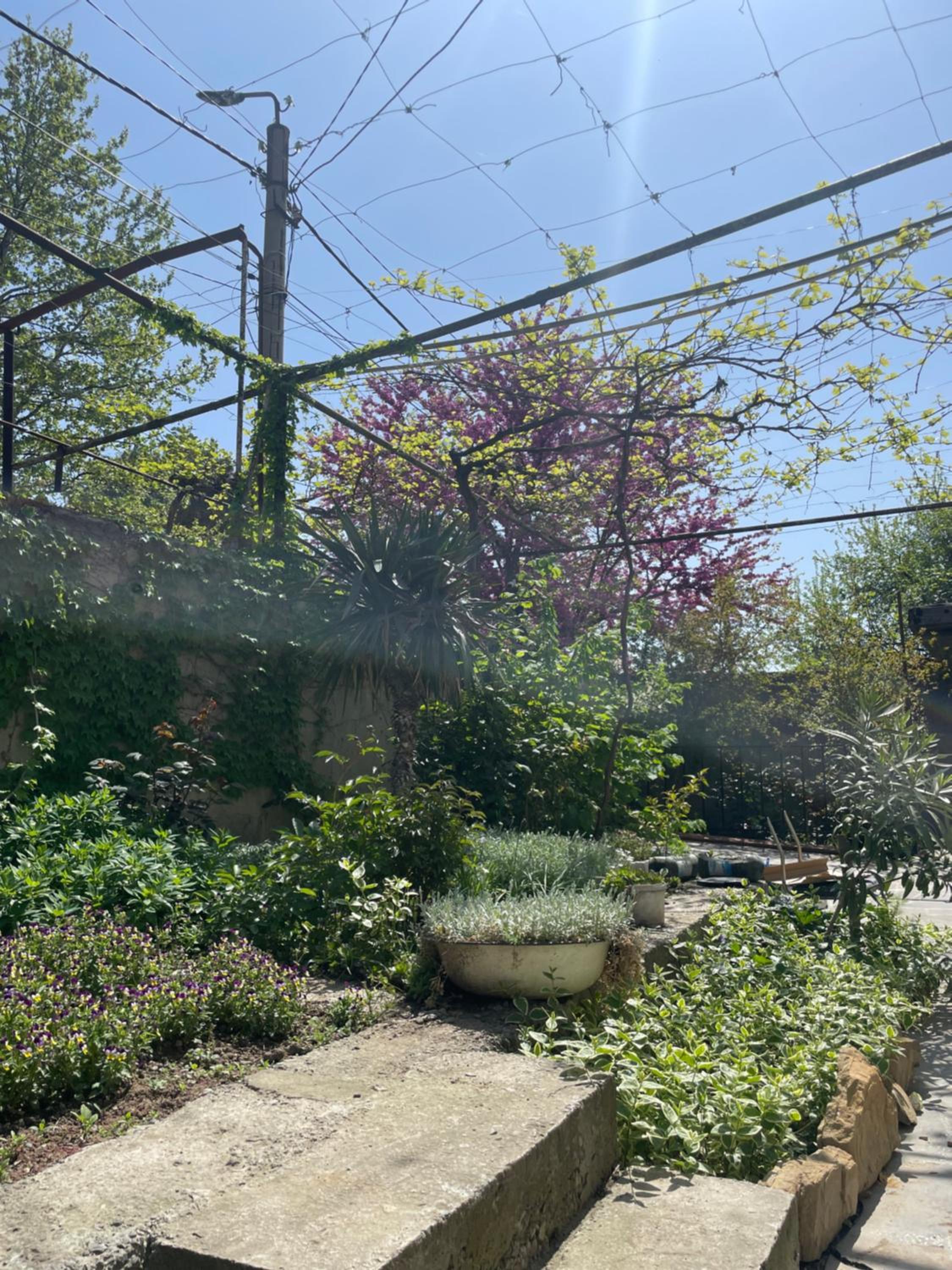 Guest house O'live view 4
