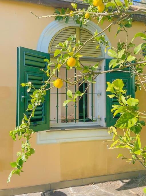 Casetta con giardino e depandance view 3