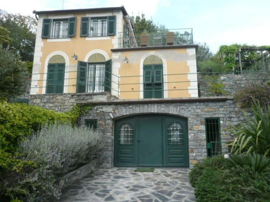 Photo 11