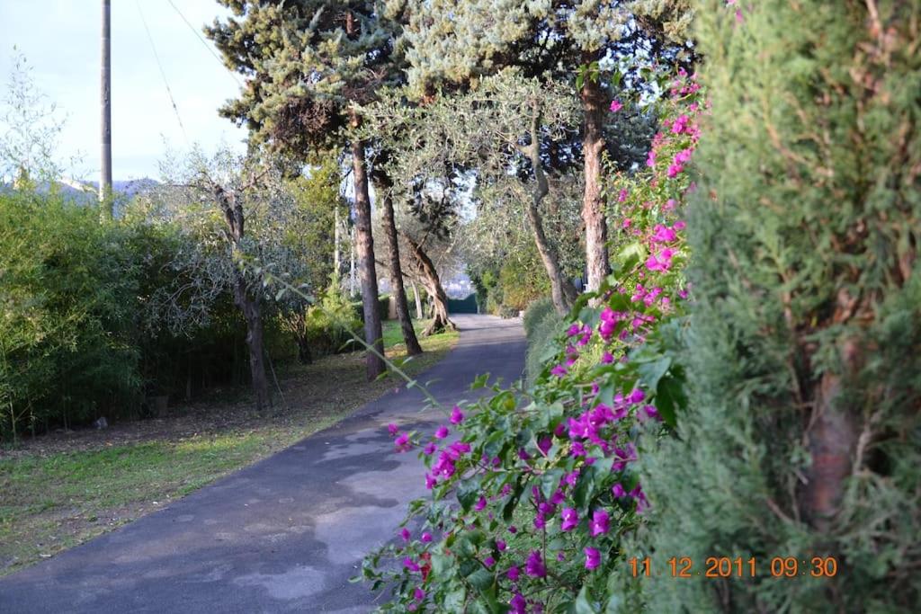 Photo 38