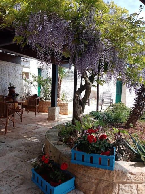 Trullo la glycine view 4