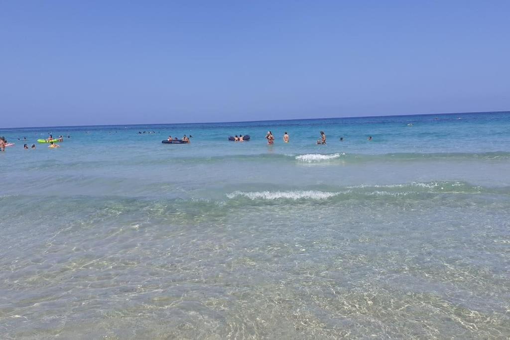 Photo 43