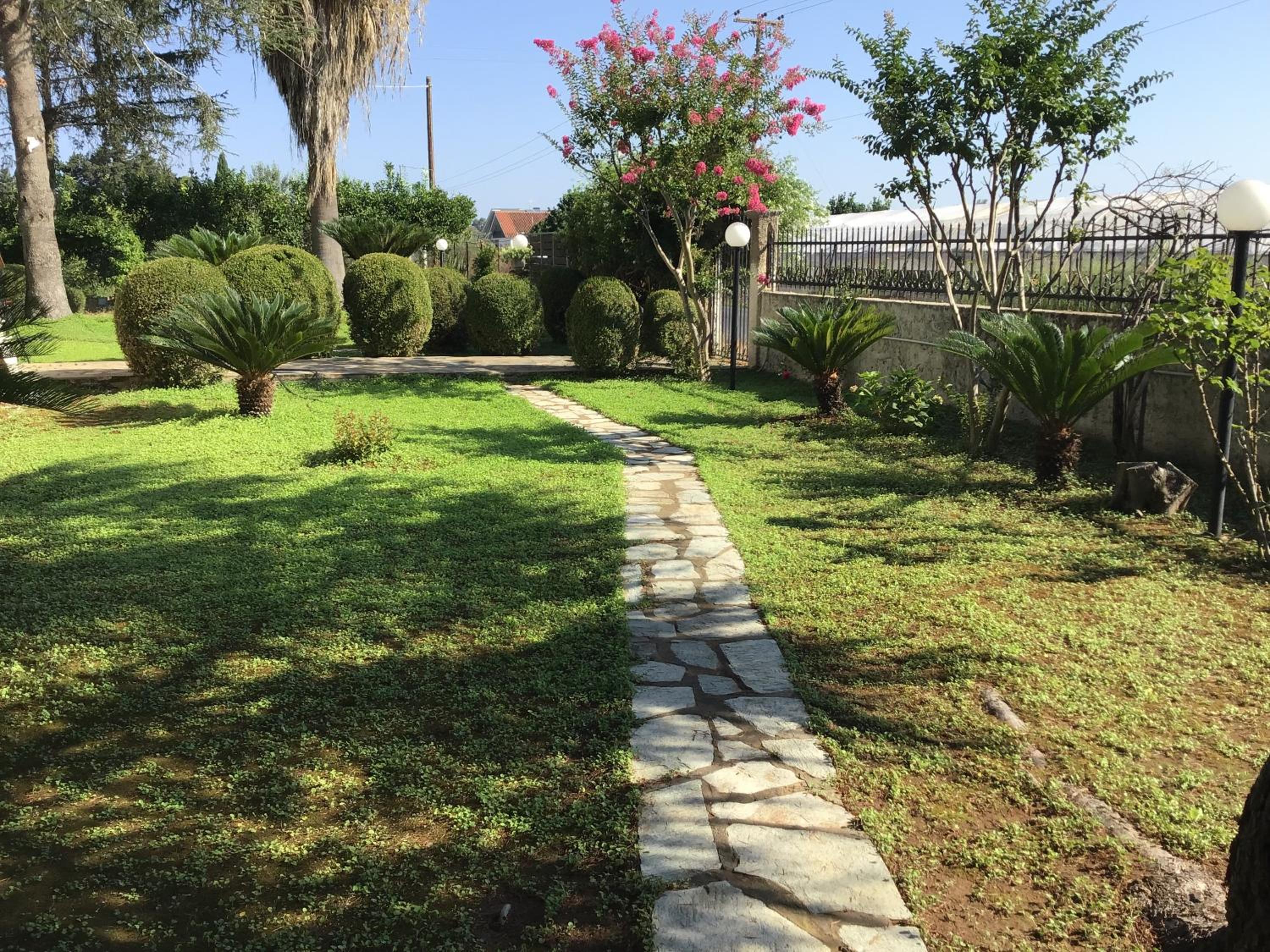 Photo 25