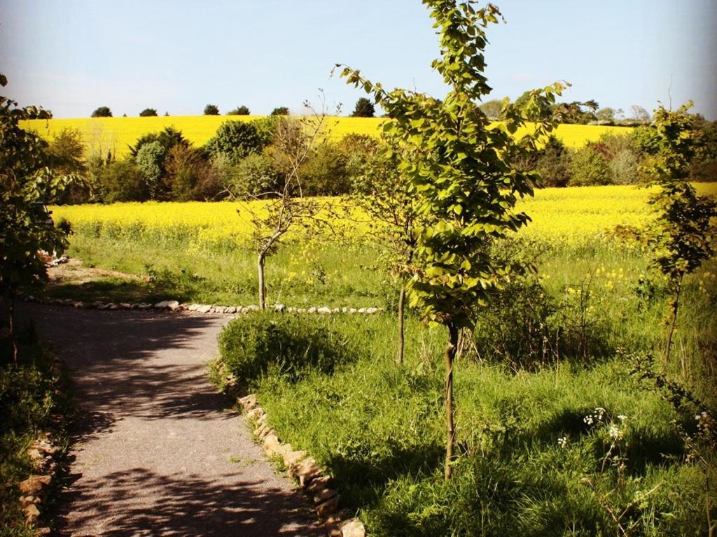 The Chilterns View
