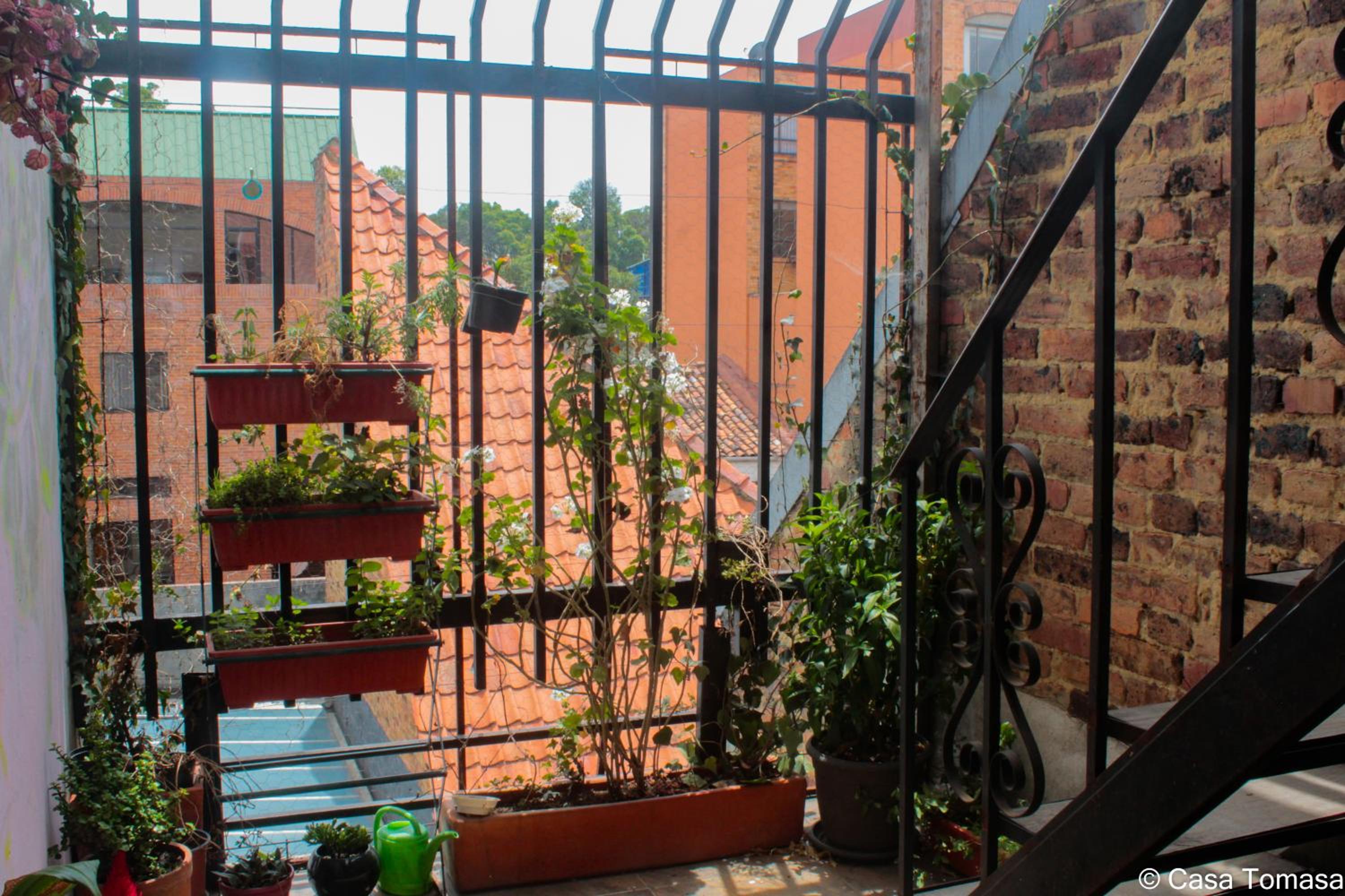 Casa Tomasa