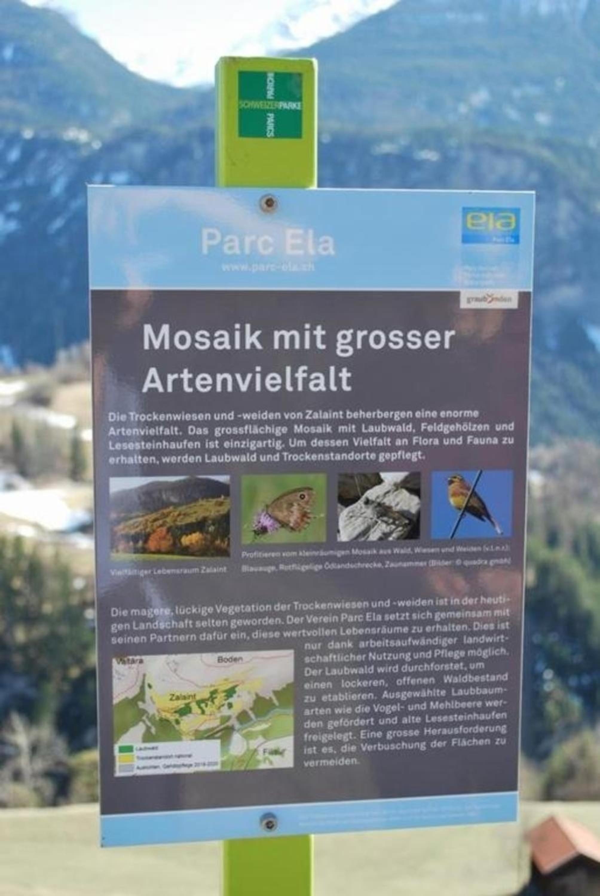 Blick Auf Herrliche Bergwelt