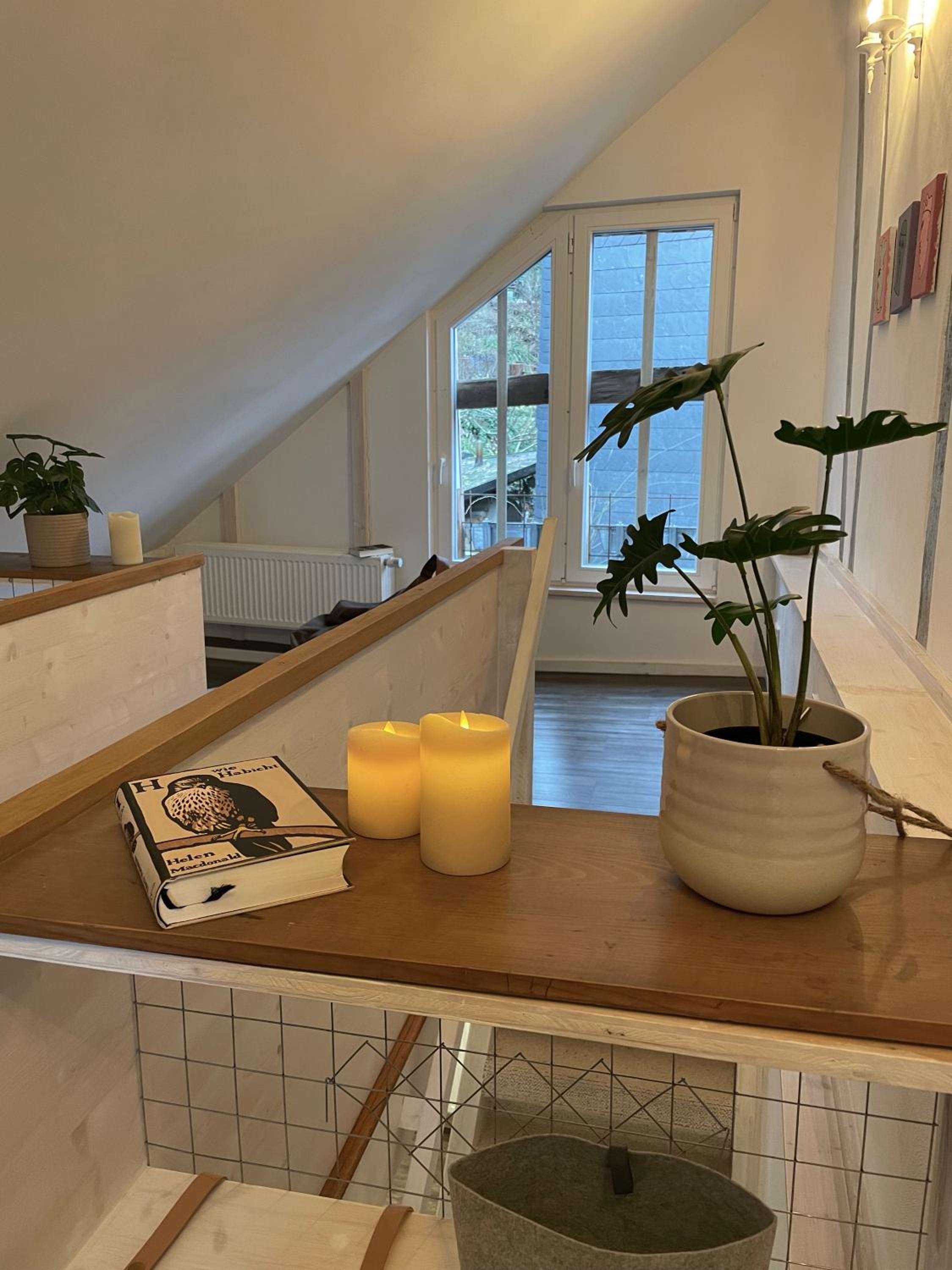 2 kleine Altstadt-Ferienwohnungen mit Garten & Herz