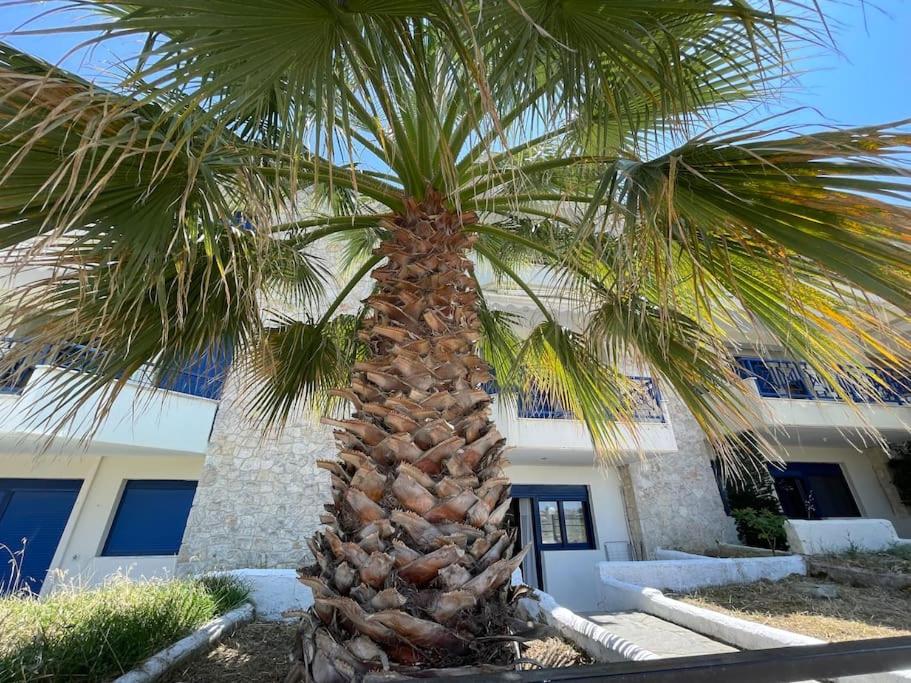 Summer Palm view 4