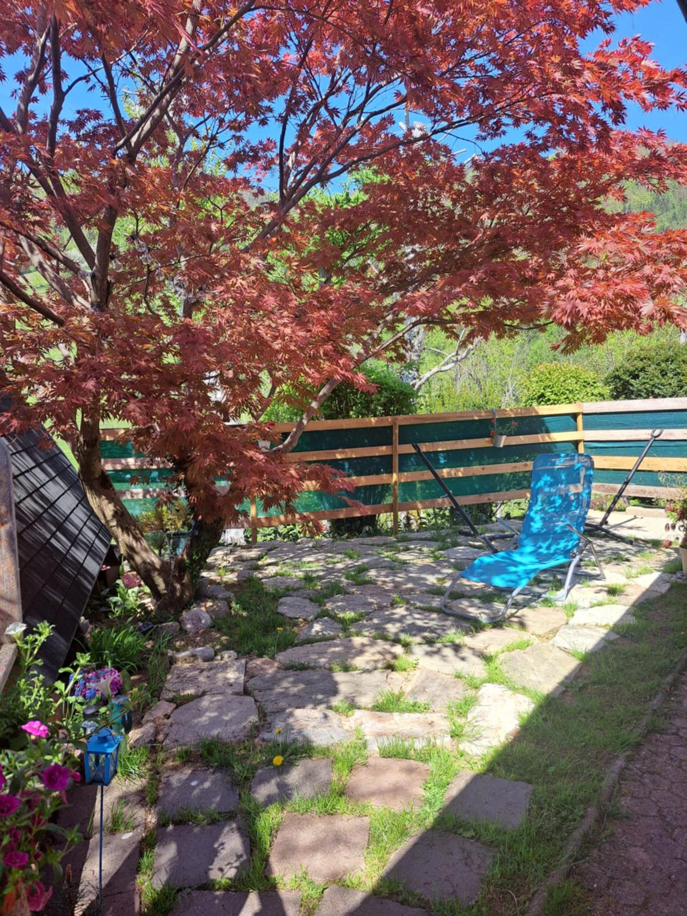 Ozy's place view 3