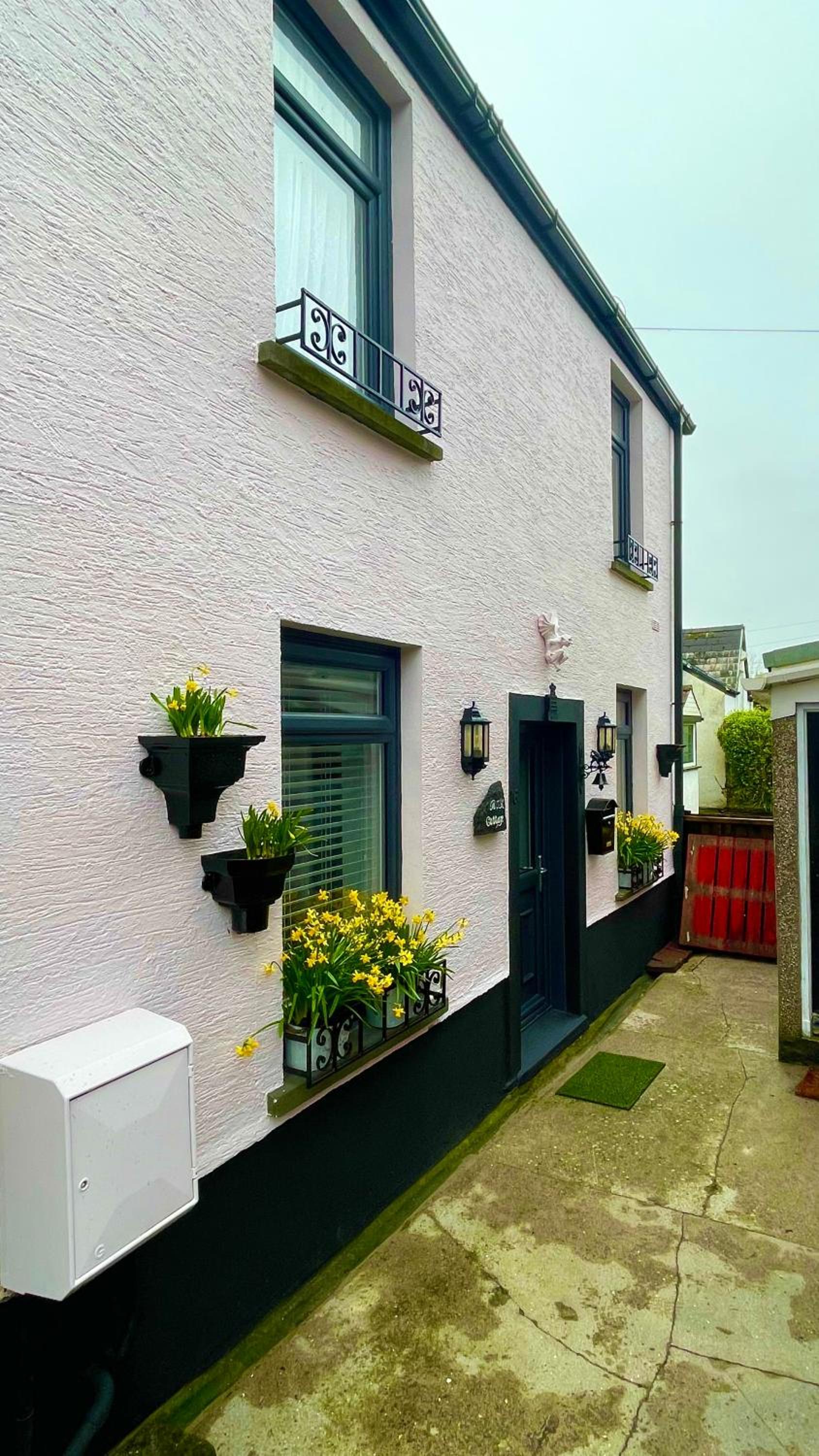 Mumbles Gower cottage