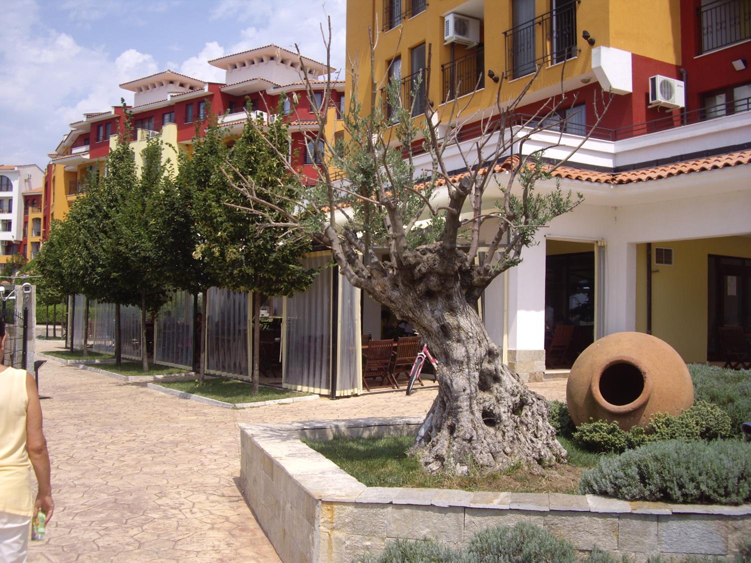 Studio Marina Cape 89