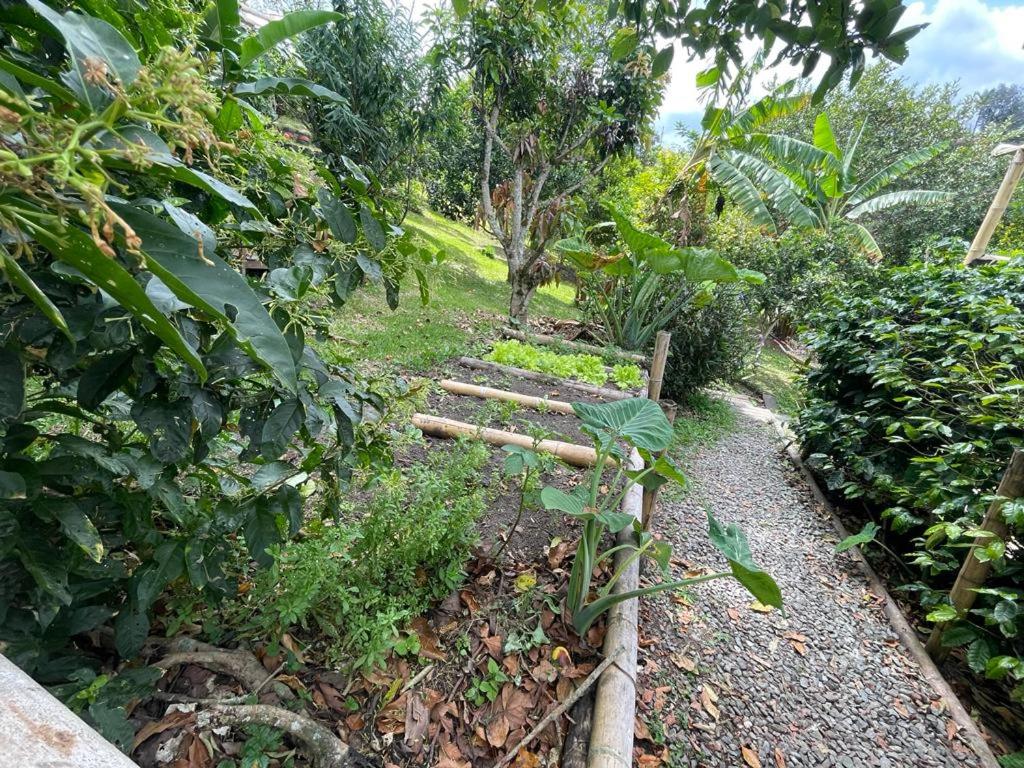 Glamping La Tremenda 420