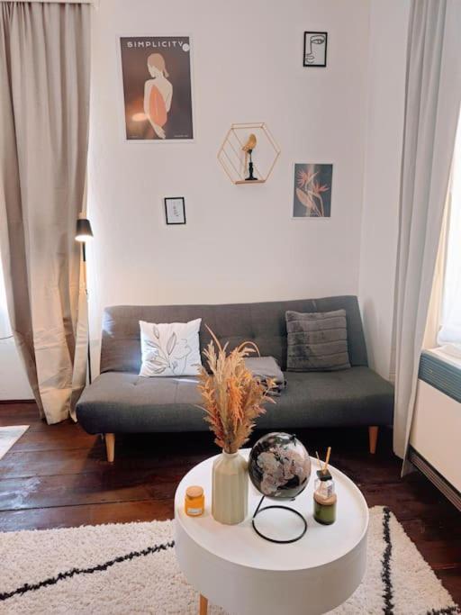 Swanky Apartments Prague